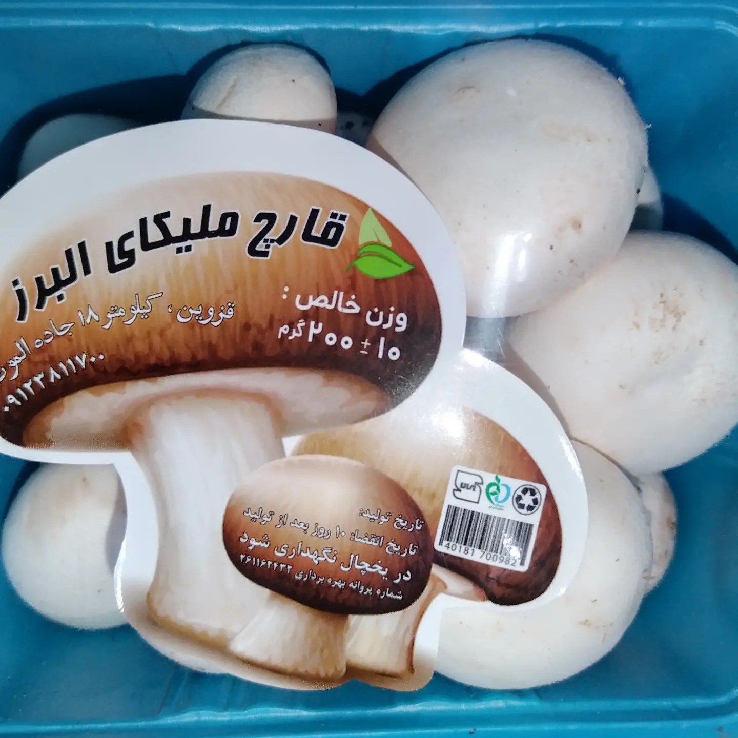 قارچ دکمه ای 1000 گرمی